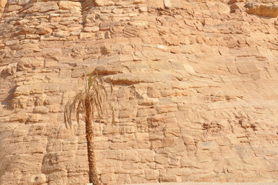 Low angle view of rock formations
