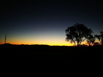 Silhouette trees on landscape against clear sky during sunset