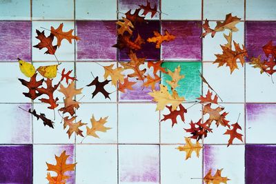 Autumn leaves falling on wall