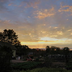 Houses and trees against sky during sunset