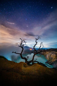 Bare tree on field against sky at night