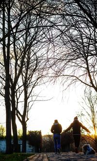 Rear view of couple walking on bare trees