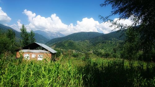 House amidst trees and plants against sky