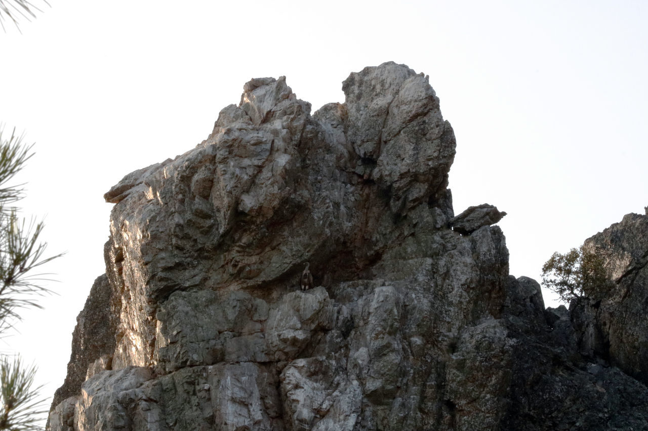 rock - object, rock formation, low angle view, nature, clear sky, geology, rough, scenics, day, tranquility, beauty in nature, no people, textured, cliff, outdoors, physical geography, sky, mountain, climbing, tree, close-up, high