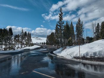 Snow covered plants by road against sky