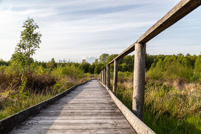 Hiking trail on wooden boardwalks through the todtenbruch moor in the raffelsbrand region 