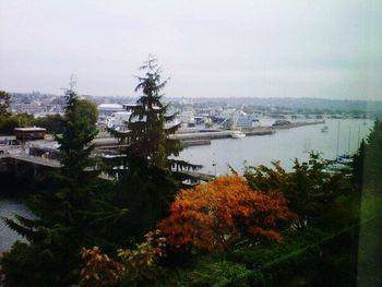 View of river with trees in background