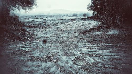 Scenic view of snow covered land