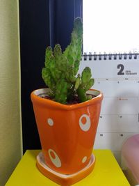 Close-up of potted plant