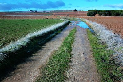 Road passing through agricultural field
