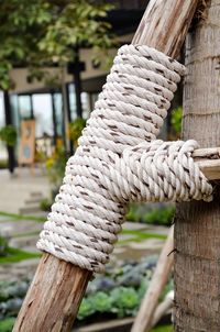 Close-up of rope tied on ladder