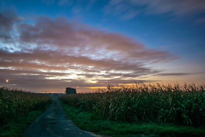 Scenic view of agricultural field against sky during sunset