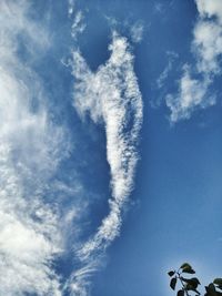 Low angle view of trees against blue sky