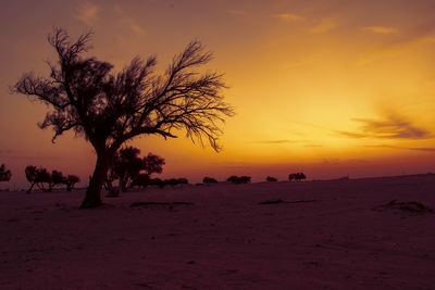 Scenic view of beach against sky during sunrise