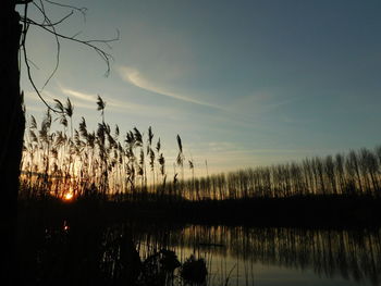 Scenic view of lake at sunset