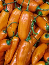 Full frame shot of vegetables for sale at market stall