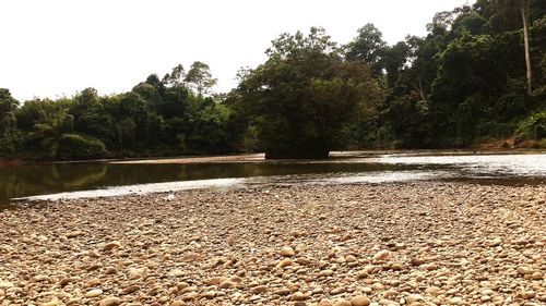 Scenic view of river against clear sky