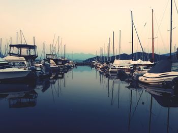 Sailboats moored in harbor