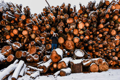 Stack of logs in snow