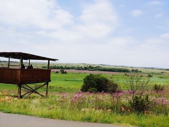 Scenic view of grassy field against sky