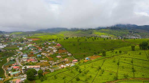 Aerial view of tea plantation on top of mountain. nuwara eliya, sri lanka. tea estate landscape.