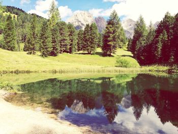 Reflection of trees in calm lake