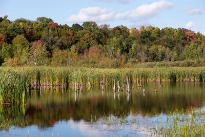 Scenic view of lake against sky