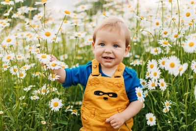 A blue-eyed and fair-haired boy stands in a flowery meadow with chamomile flowers and smiles