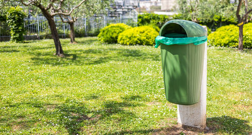 green