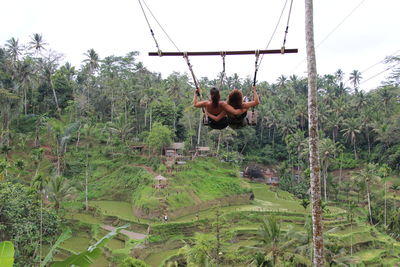 Man hanging on rope against trees