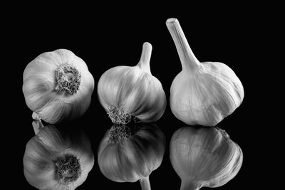 Close-up of garlic bulbs on black background