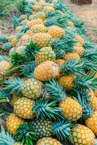 Full frame shot of pineapple