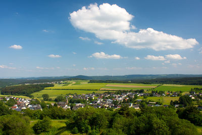 Trees and houses on field against sky