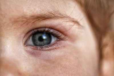 Extreme close up portrait of human eye