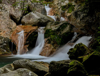 Scenic view of waterfall in forest