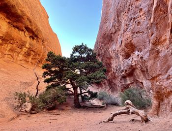 Arches national park