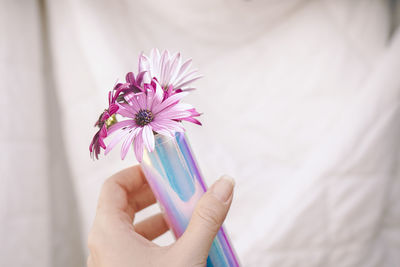 Cropped hand of woman holding flower