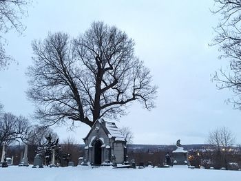 Bare trees against clear sky