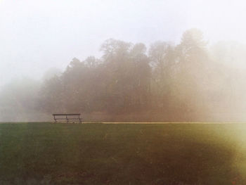 Trees on field against sky in foggy weather