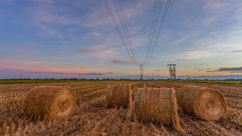 Hay bales on farm against cloudy sky