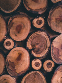 Full frame shot of logs in forest