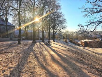 Bare trees on snow covered landscape during winter