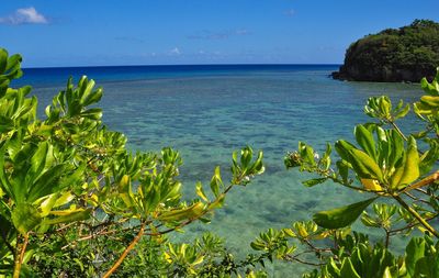 Scenic view of sea against blue sky