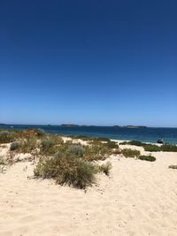 Scenic view of beach against clear blue sky