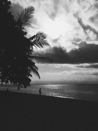 Silhouette tree on beach against sky