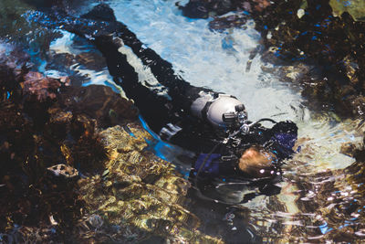 High angle view of person diving in sea