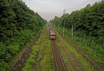 High angle view of train on railroad track amidst trees