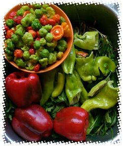 Close-up of salad in bowl