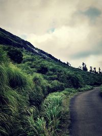 Scenic view of road by mountains against sky