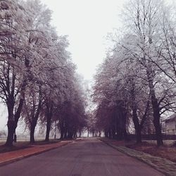 Empty road along trees